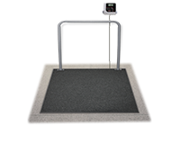 Dialysis Scales