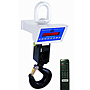 Intercomp CS 1500 Crane Scale (43647, 43648, 43649, 43650, 43651, 82447, 82448)