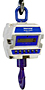 Intercomp CS 3000 Crane Scale (43652, 43653, 43654, 43655, 43656, 43657, 43658, 82449, 82450)