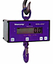 Intercomp CS 750 Crane Scales (43643, 43644, 43645, 43646, 82445, 82446) Intercomp CS 750 Crane Scales (43643, 43644, 43645, 43646, 82445, 82446)
