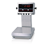 IQ Plus 2100 Digital Bench Scales