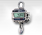 Crane Scales / Hanging Scales-img