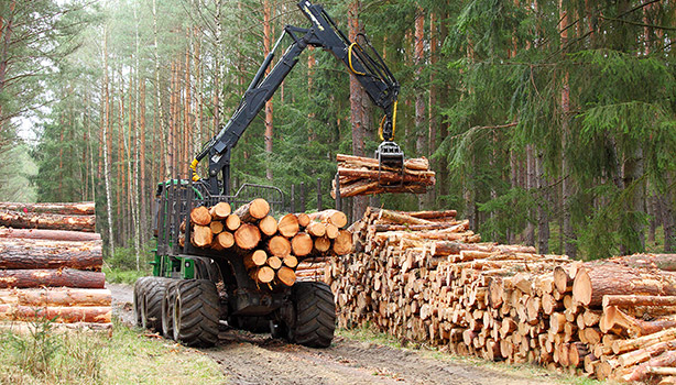 Ensuring Accuracy And Reliability During Logging Season